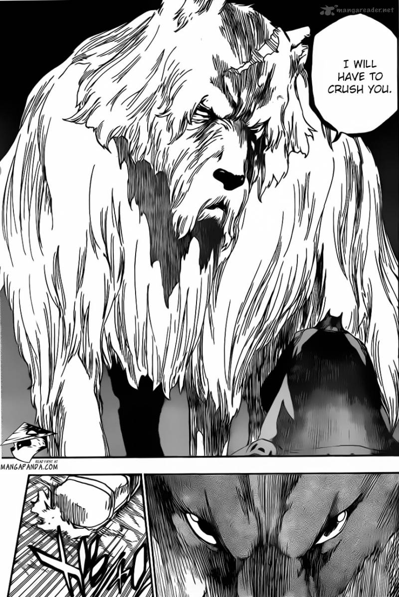 Bleach 539 15