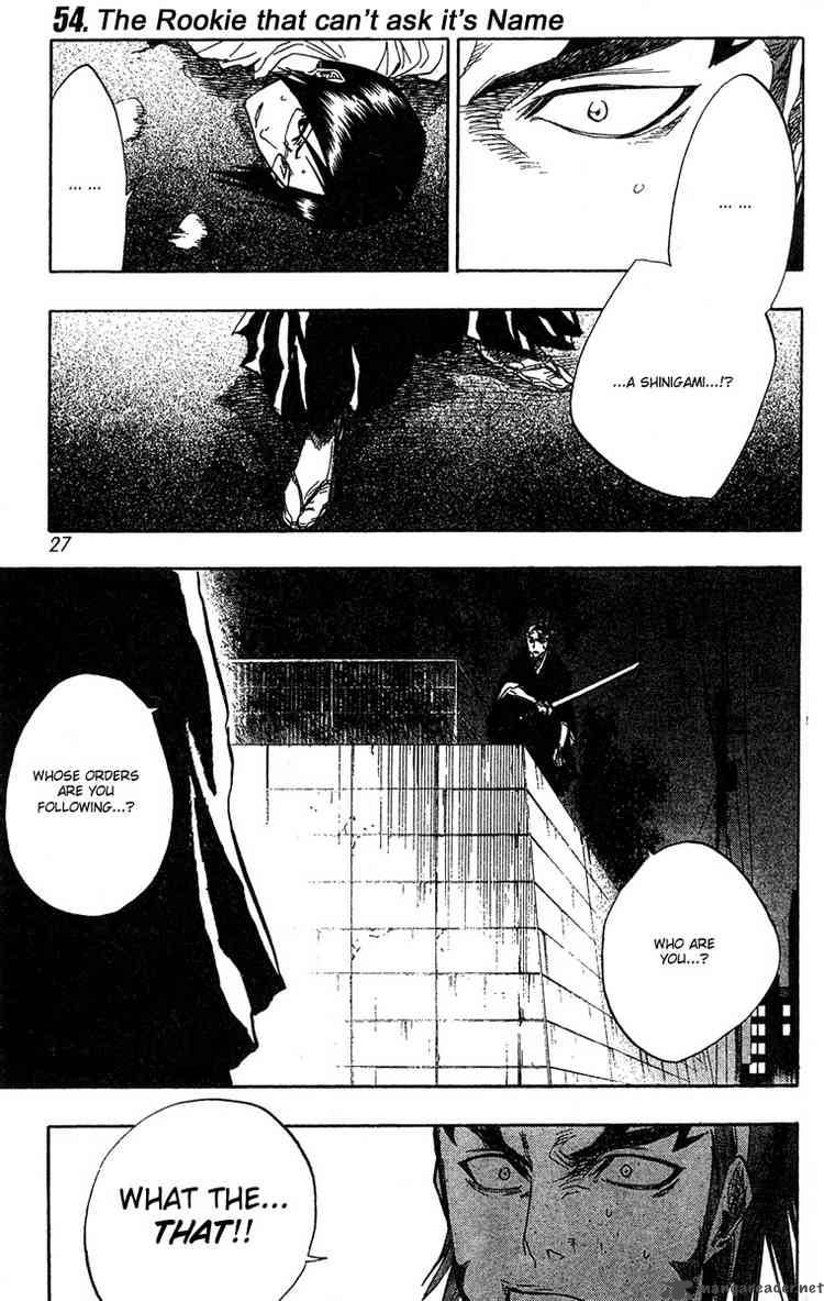 Bleach 54 1