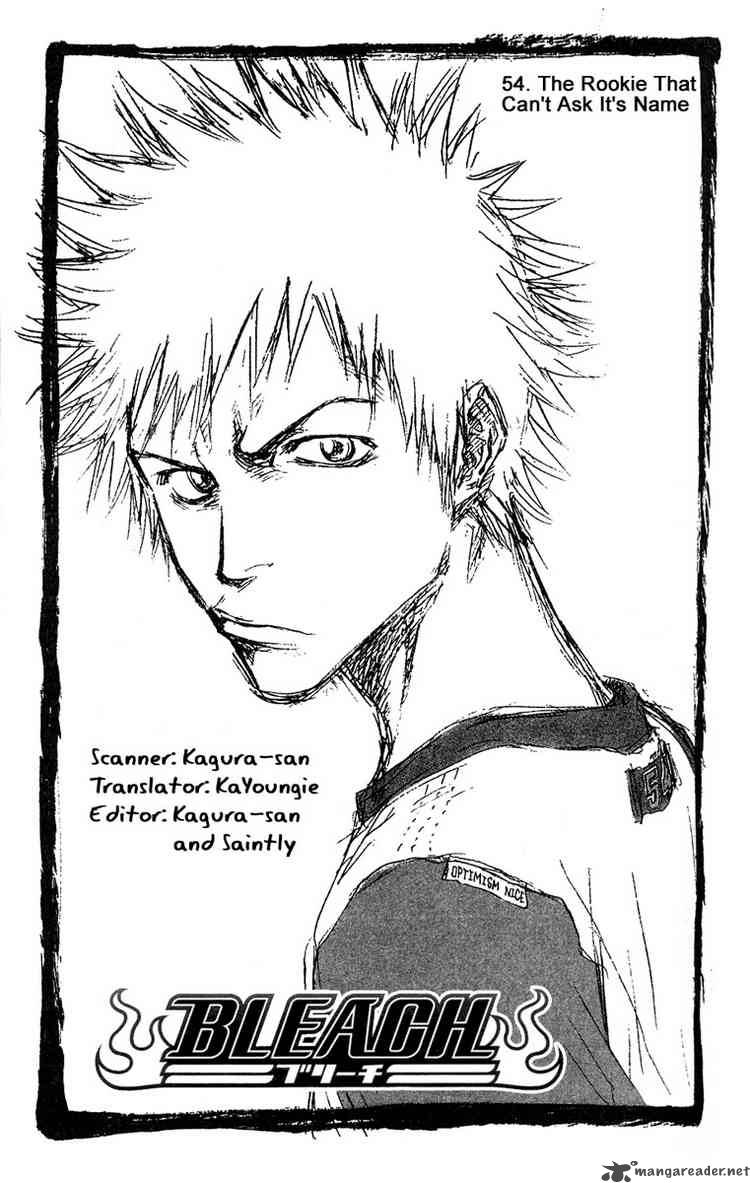 Bleach 54 5