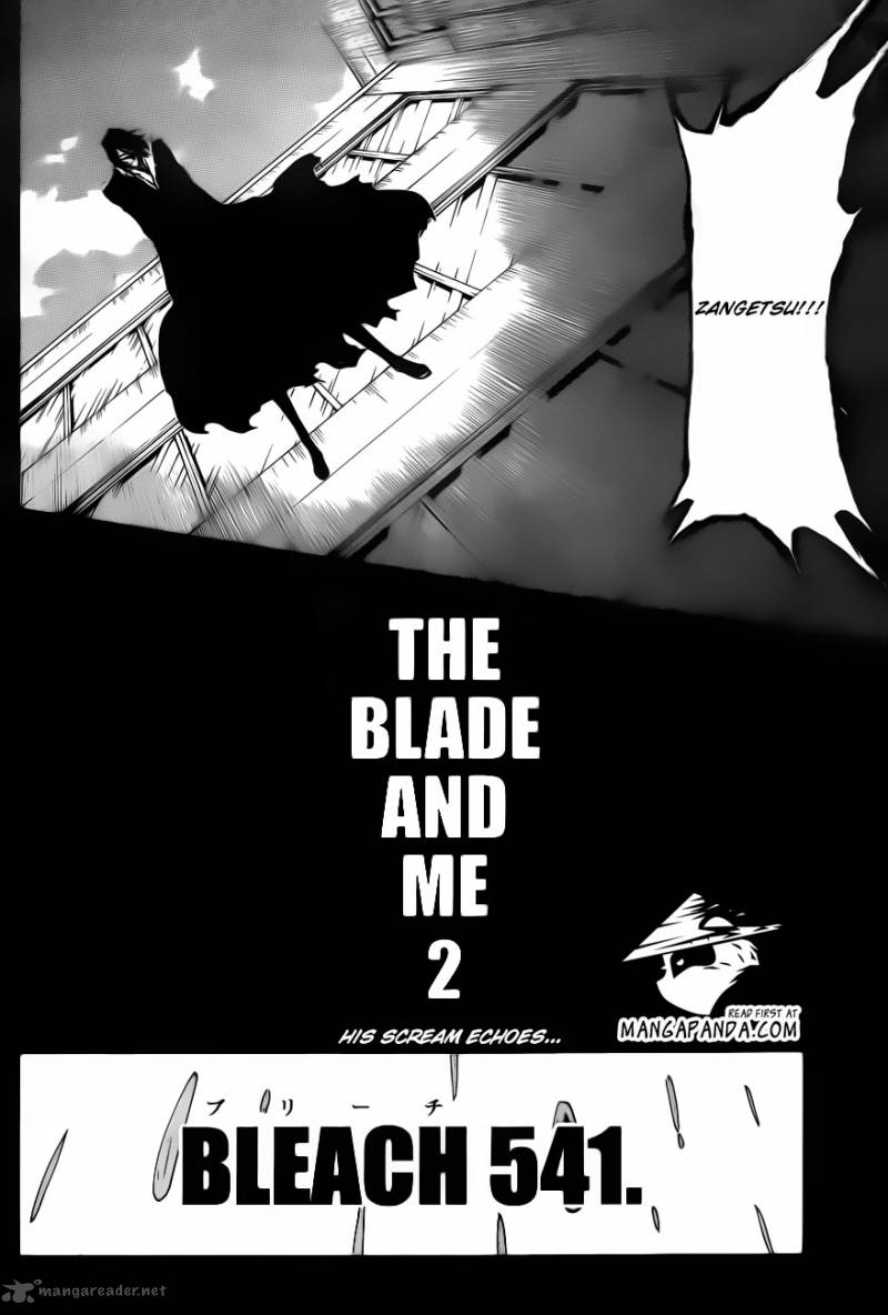 Bleach 541 6