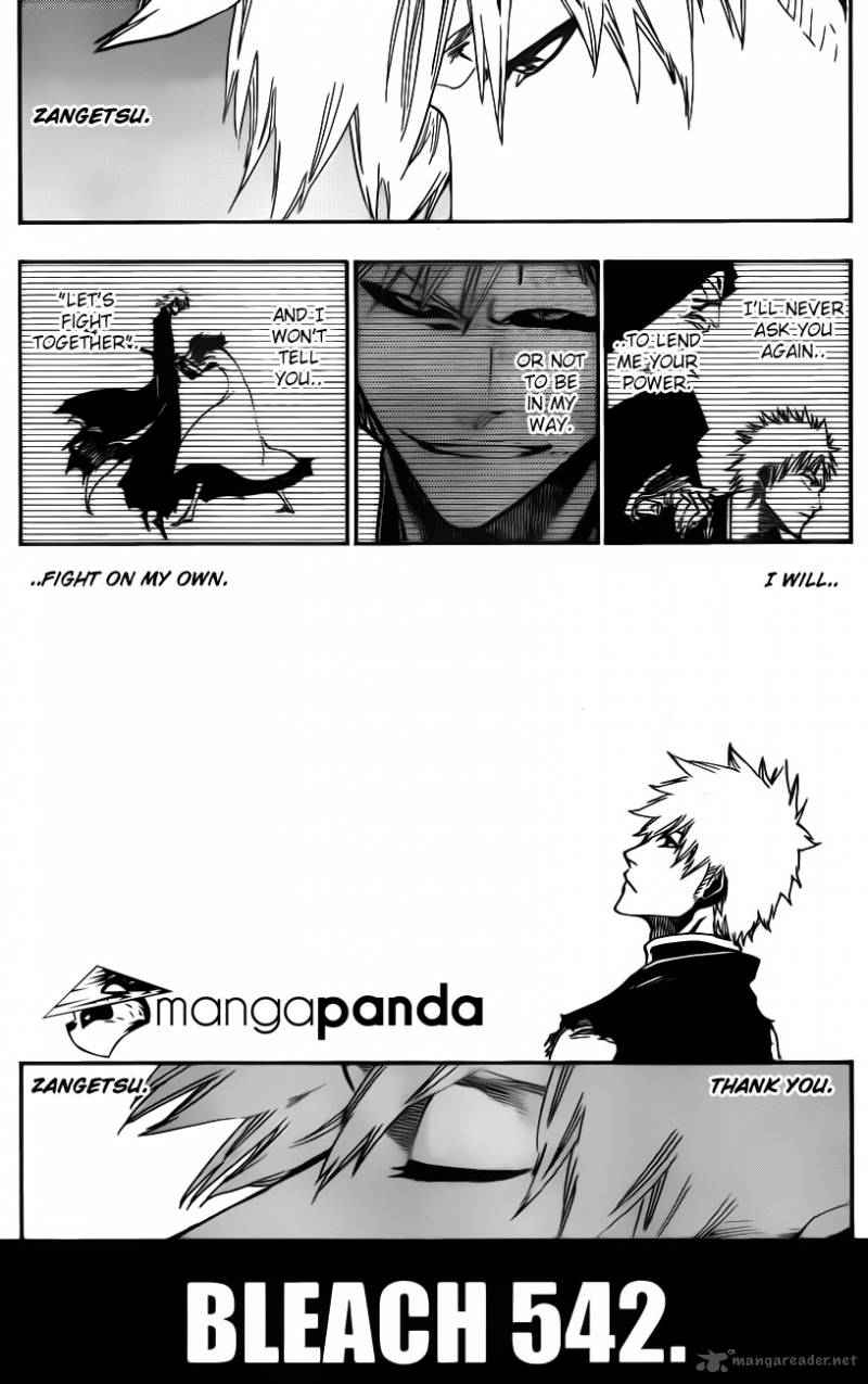 Bleach 542 14