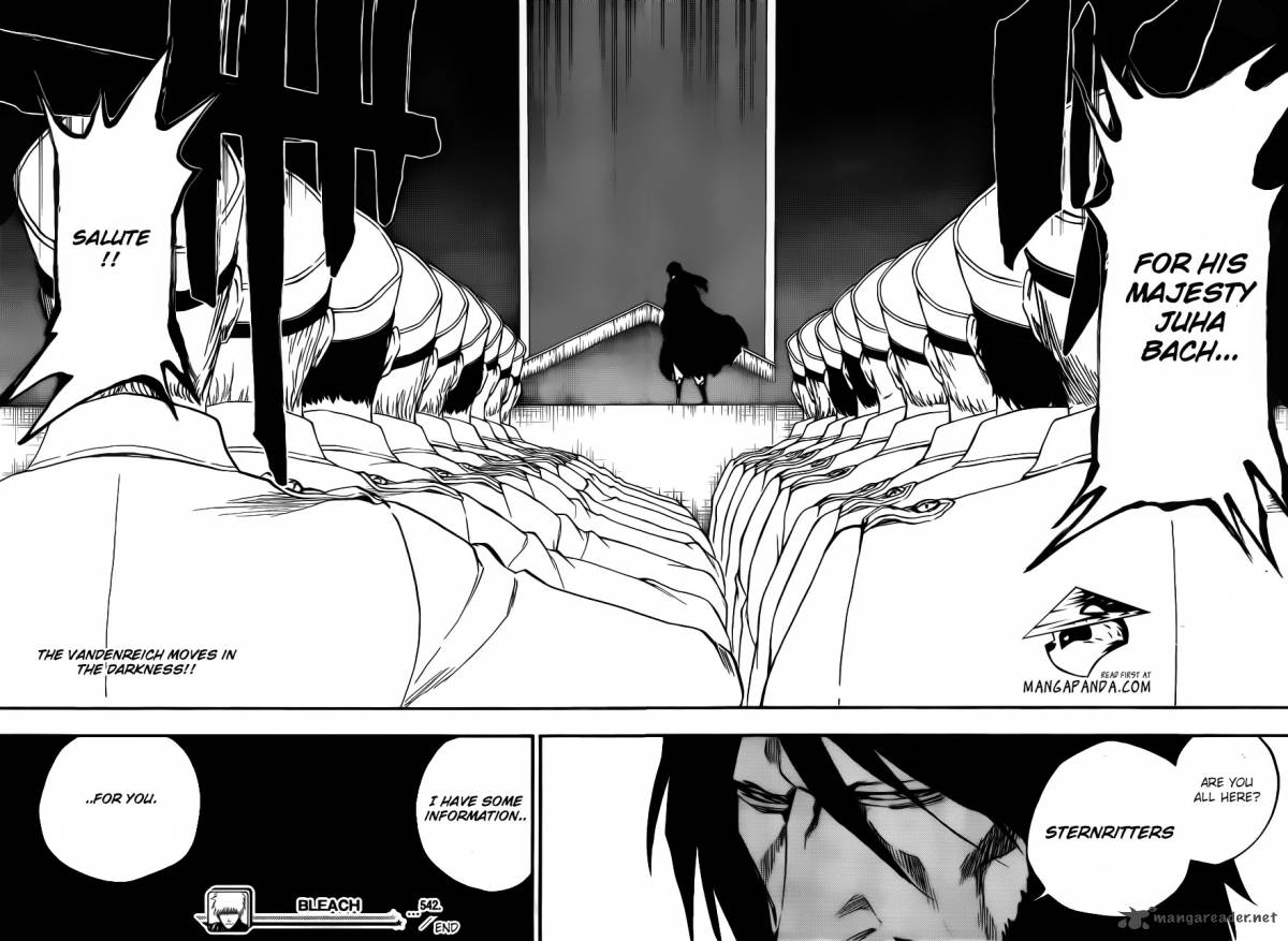 Bleach 542 17