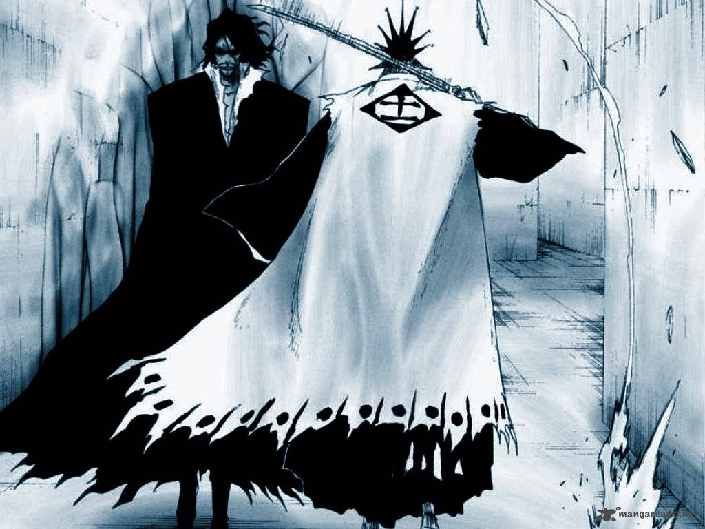 Bleach 542 2
