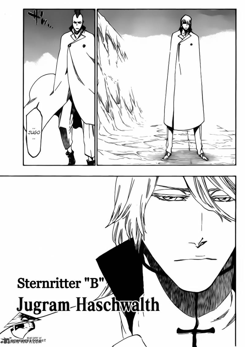Bleach 543 11