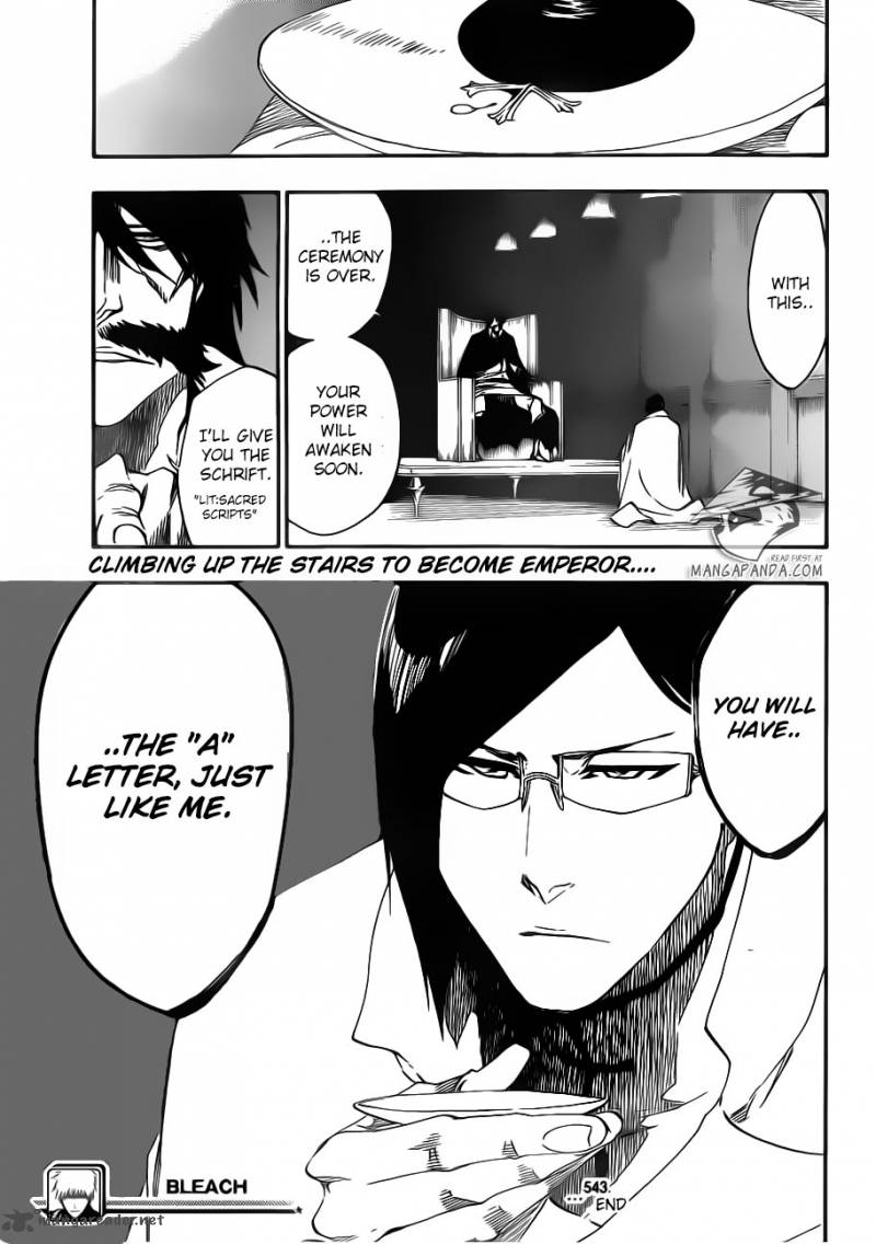 Bleach 543 17