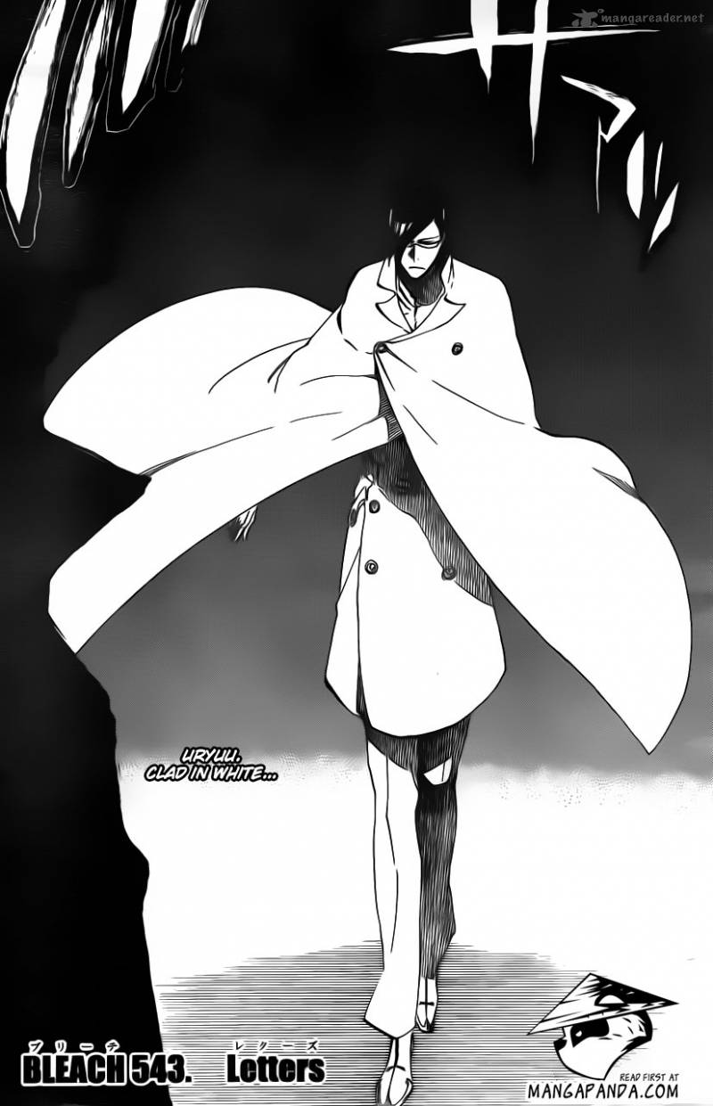 Bleach 543 3