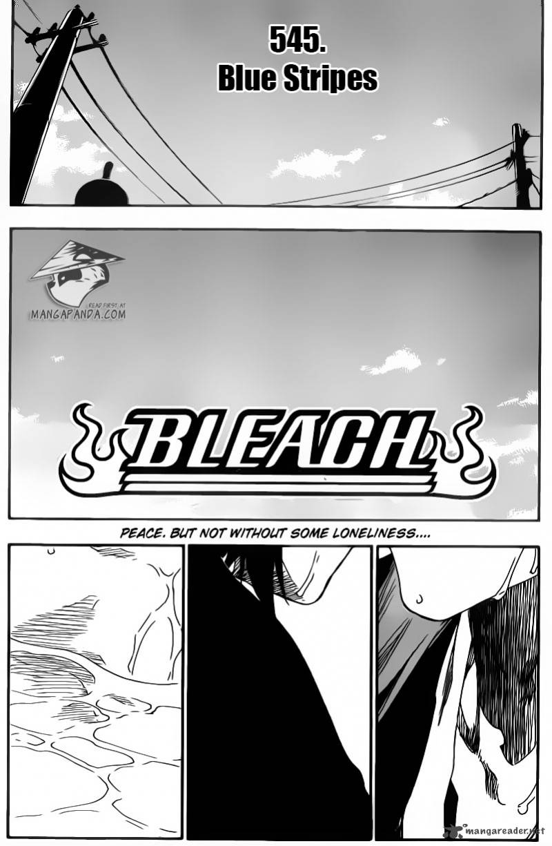 Bleach 545 5