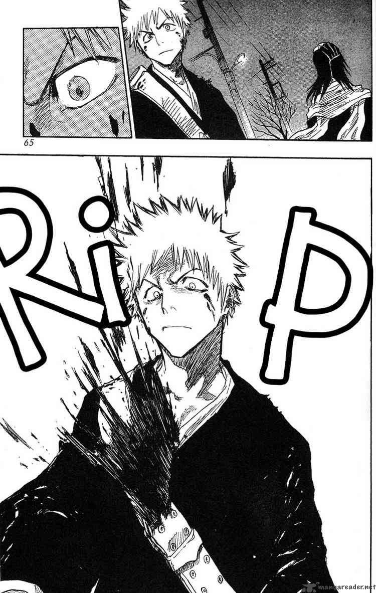 Bleach 55 19