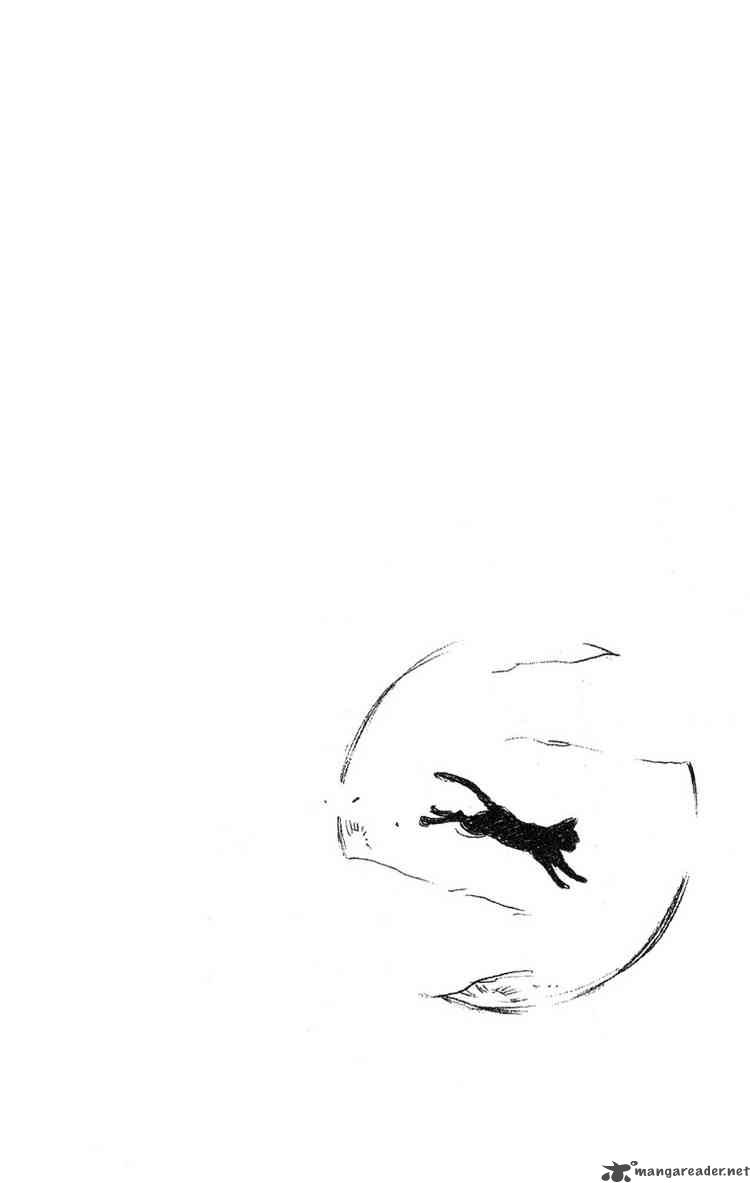 Bleach 55 20