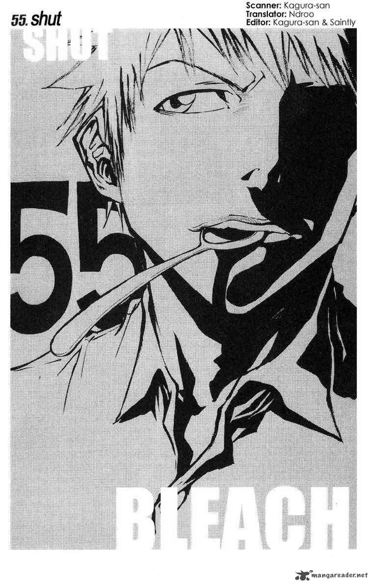 Bleach 55 3