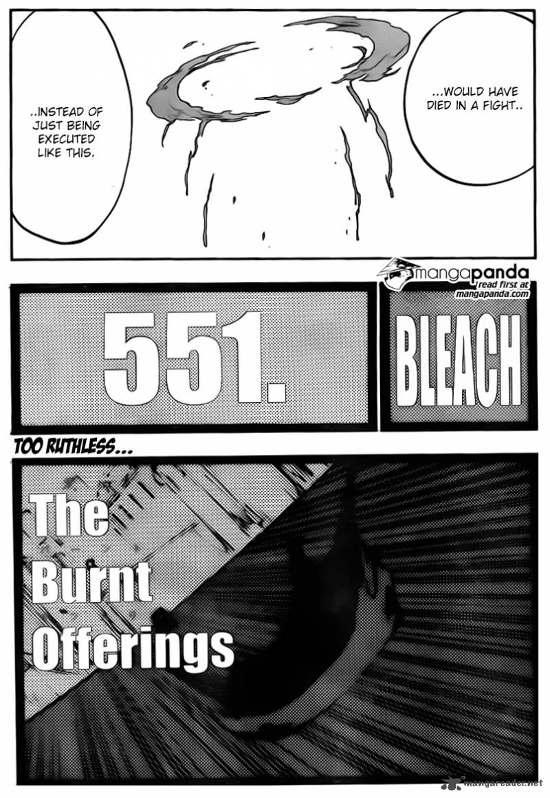 Bleach 551 7