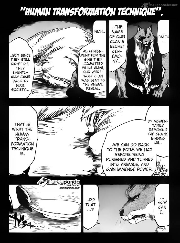 Bleach 556 15