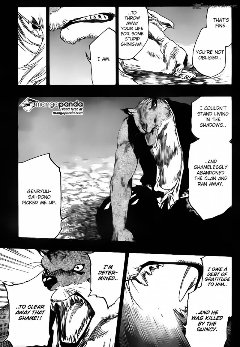 Bleach 556 17