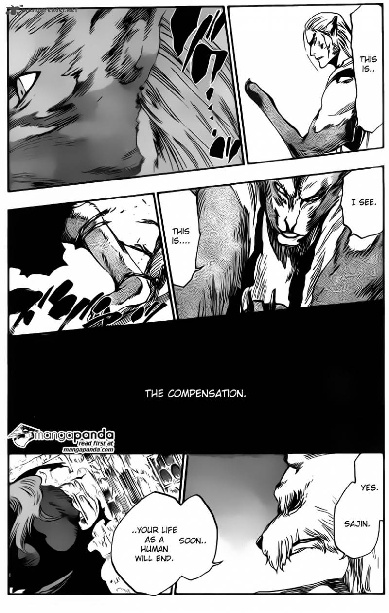 Bleach 558 13