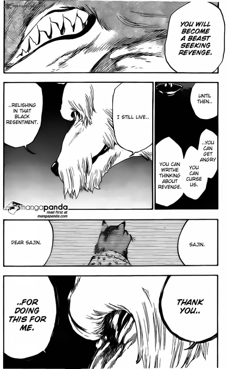 Bleach 558 14