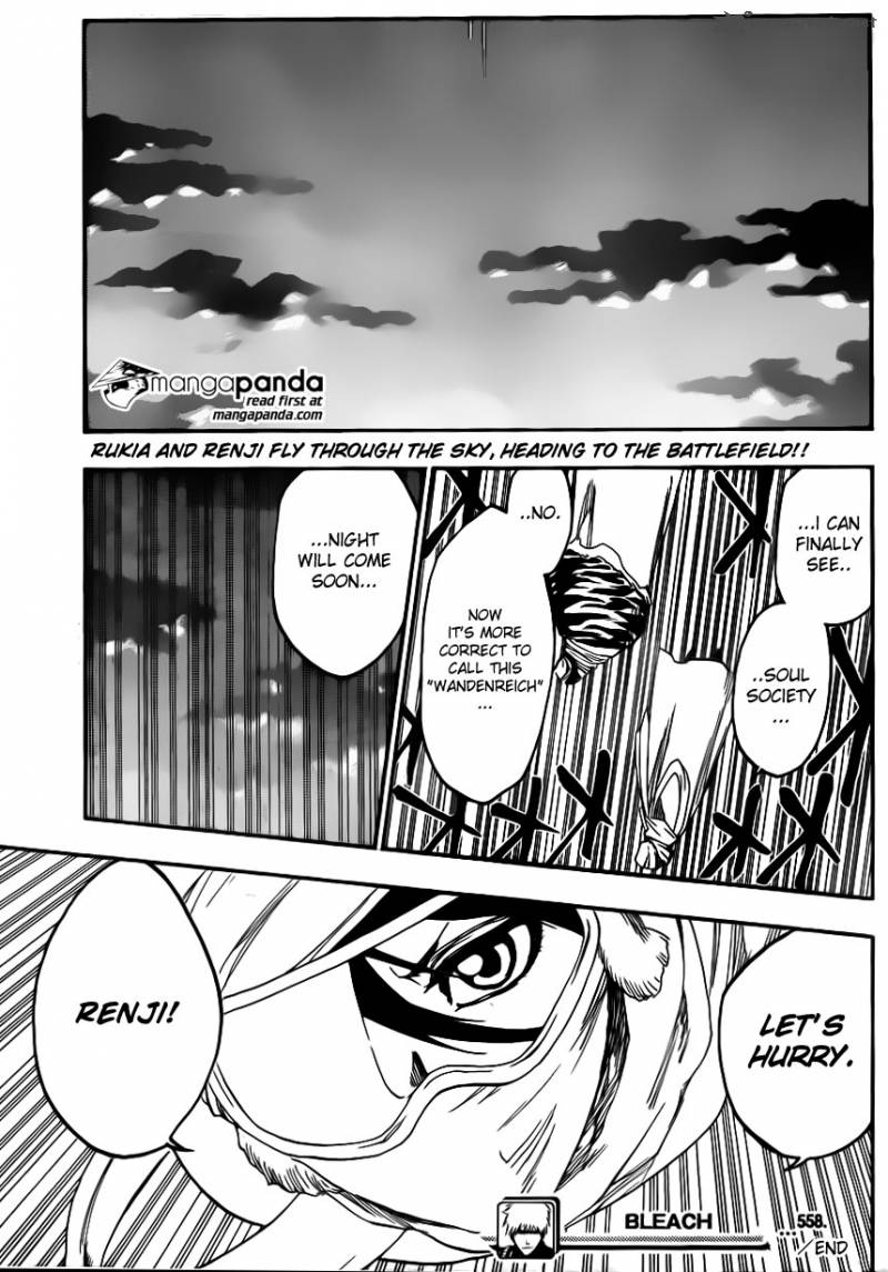 Bleach 558 21
