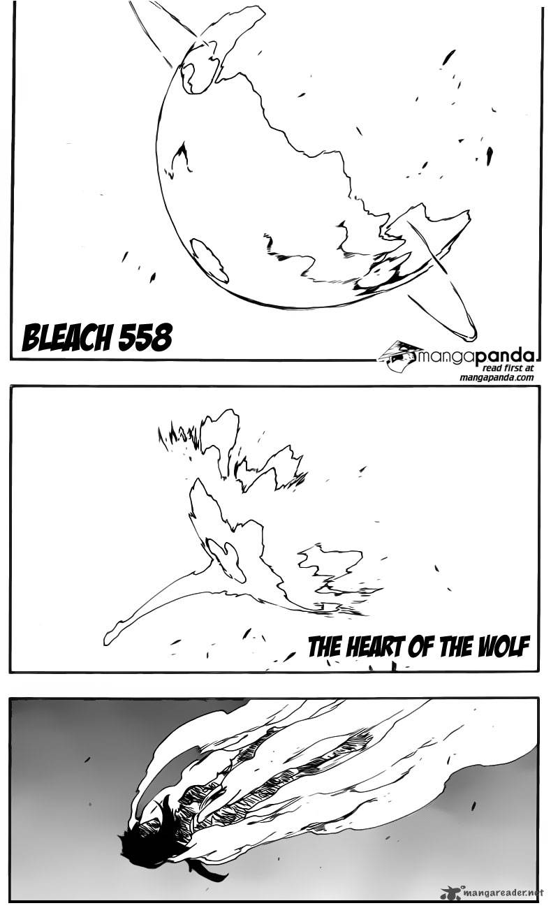 Bleach 558 6