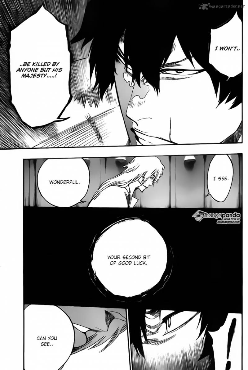 Bleach 559 15