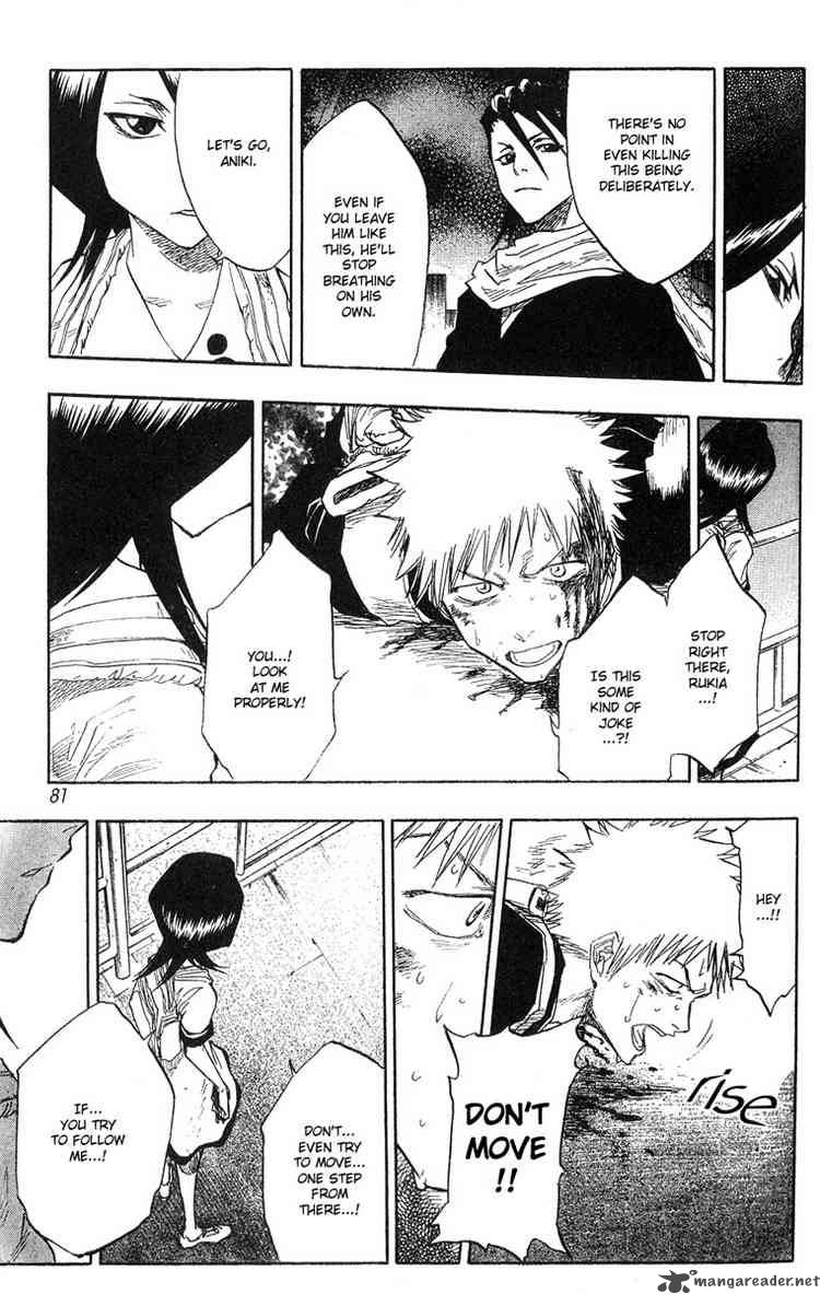Bleach 56 15