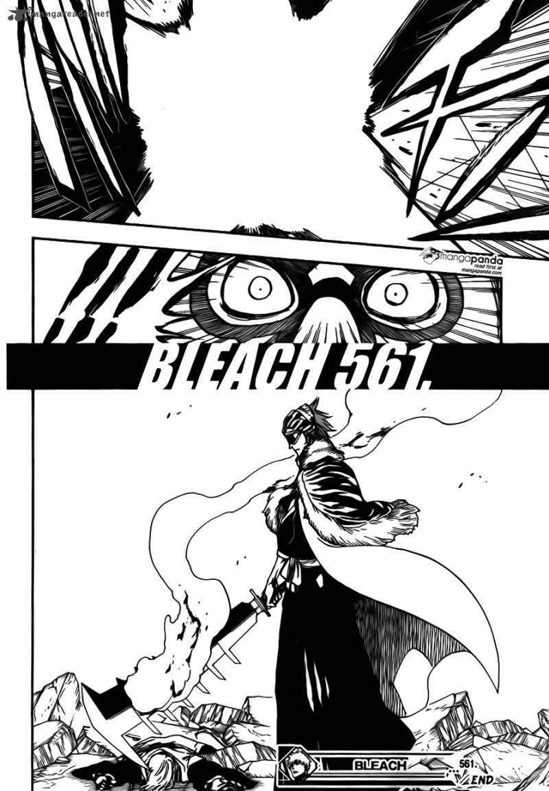 Bleach 561 18