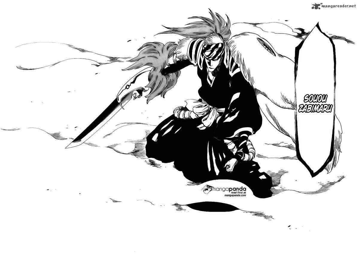 Bleach 564 11