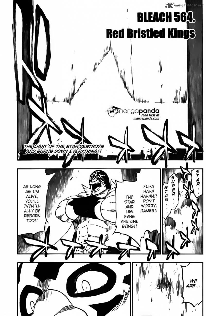 Bleach 564 2