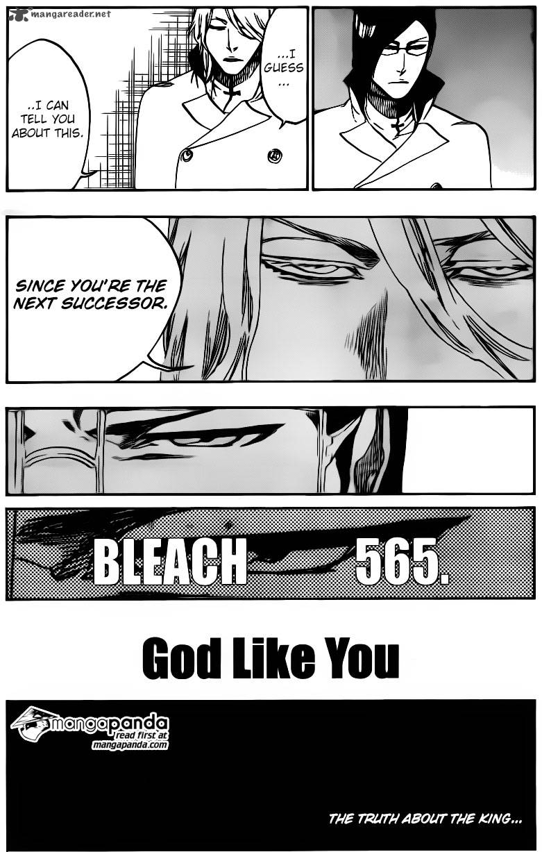 Bleach 565 12