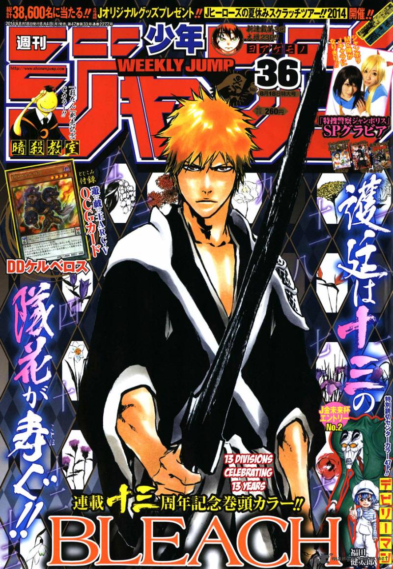 Bleach 591 1