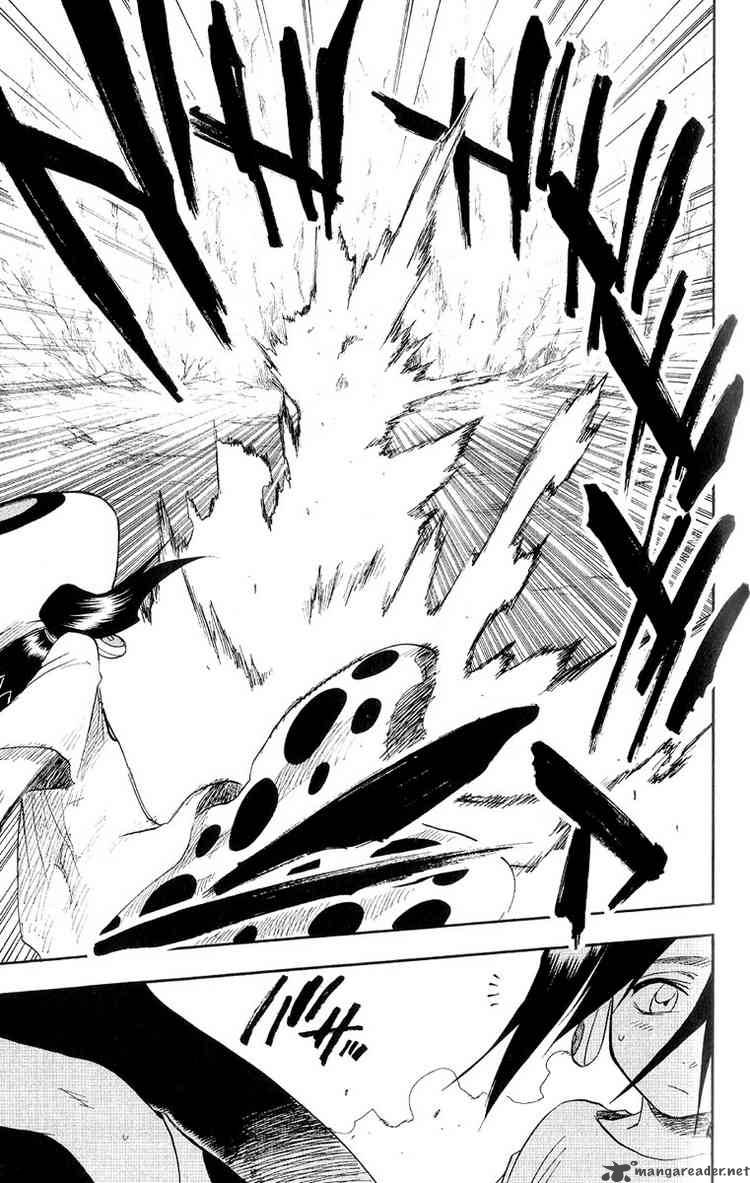 Bleach 60 13