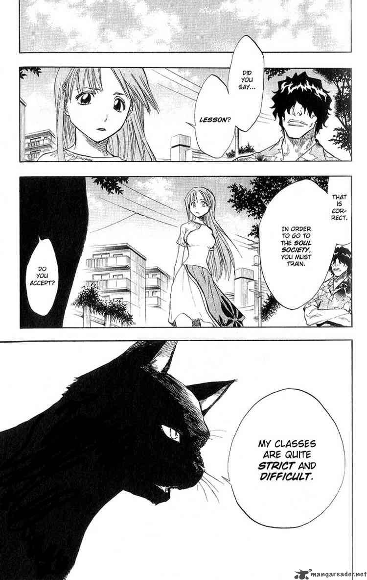 Bleach 60 19