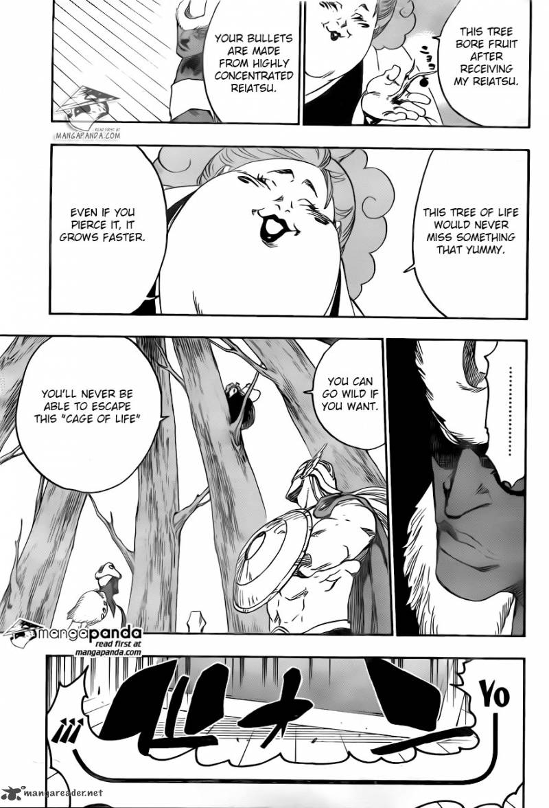 Bleach 600 15