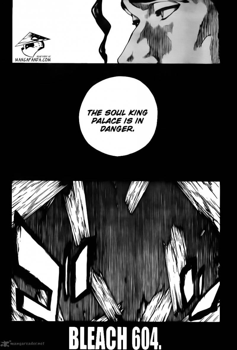 Bleach 604 6