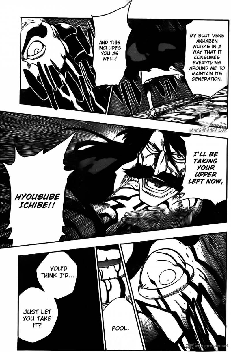 Bleach 607 14