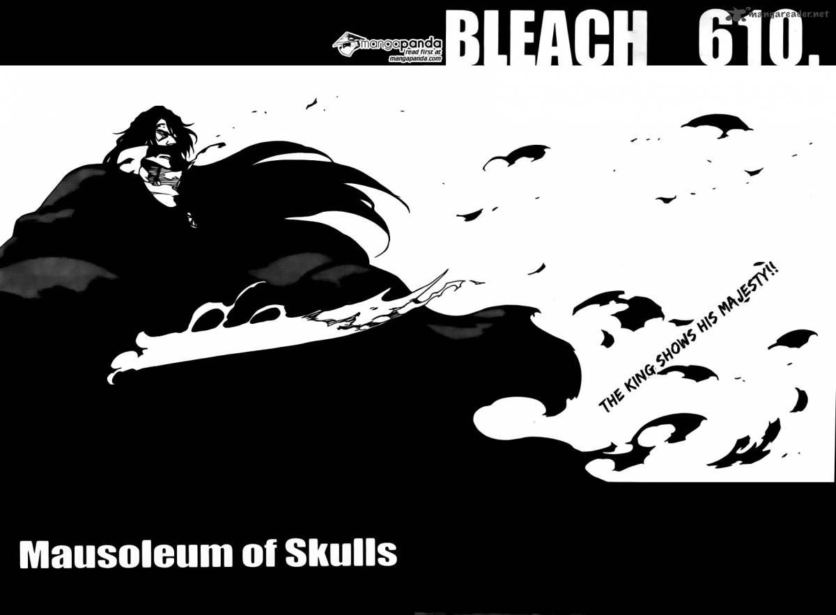 Bleach 610 4