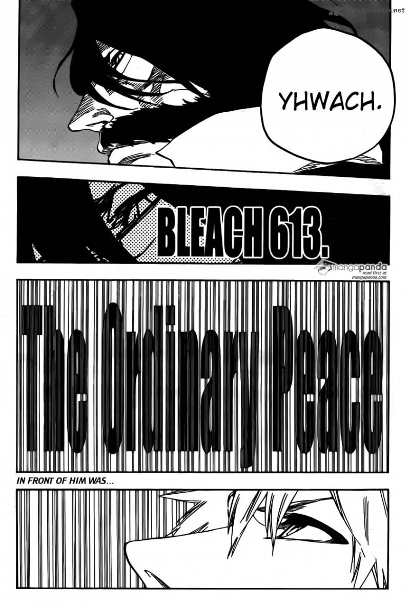 Bleach 613 3