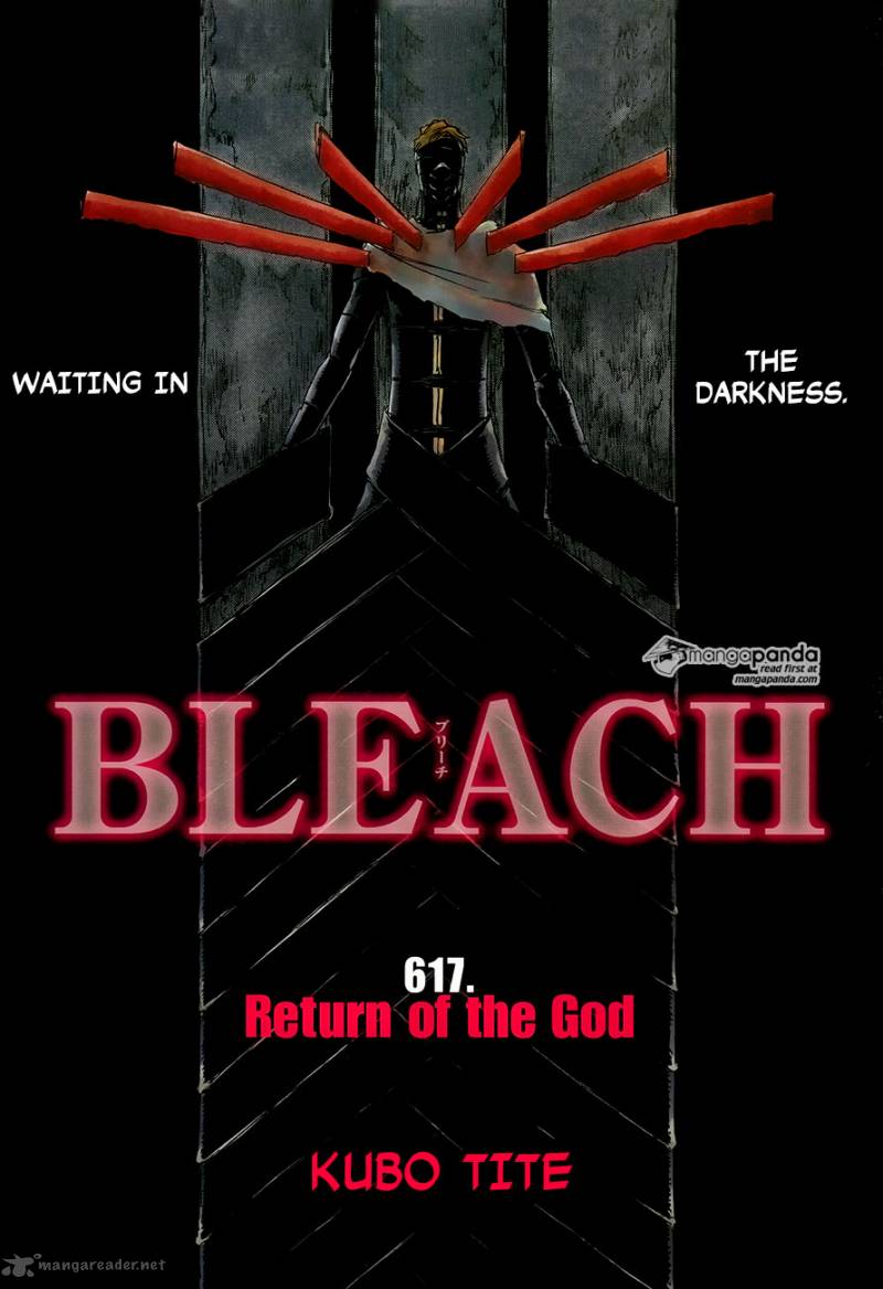 Bleach 617 1