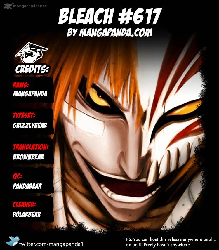 Bleach 617 19