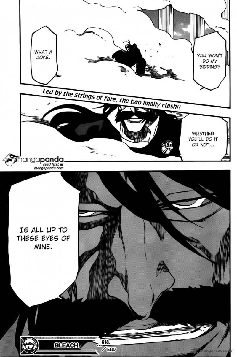 Bleach 618 17