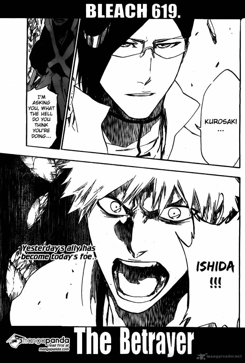 Bleach 619 17