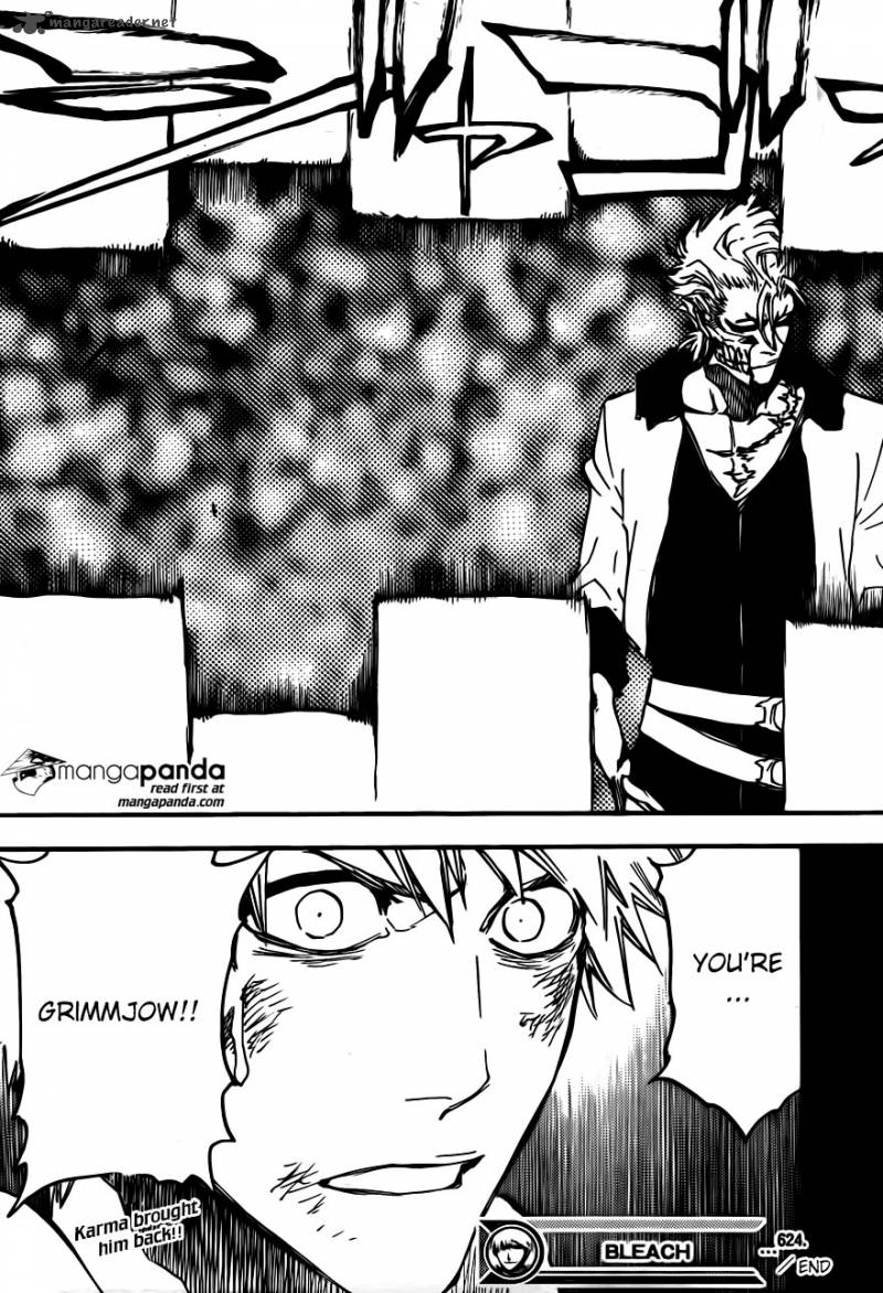 Bleach 624 17
