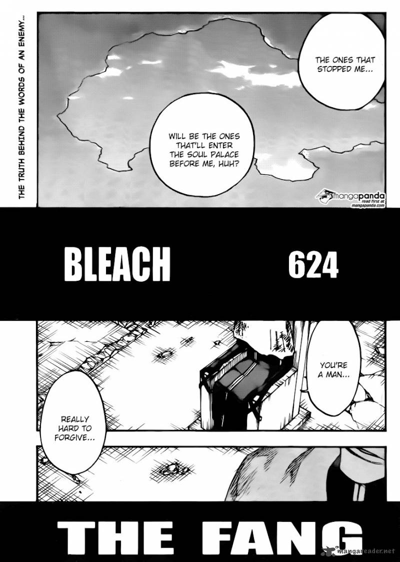 Bleach 624 5
