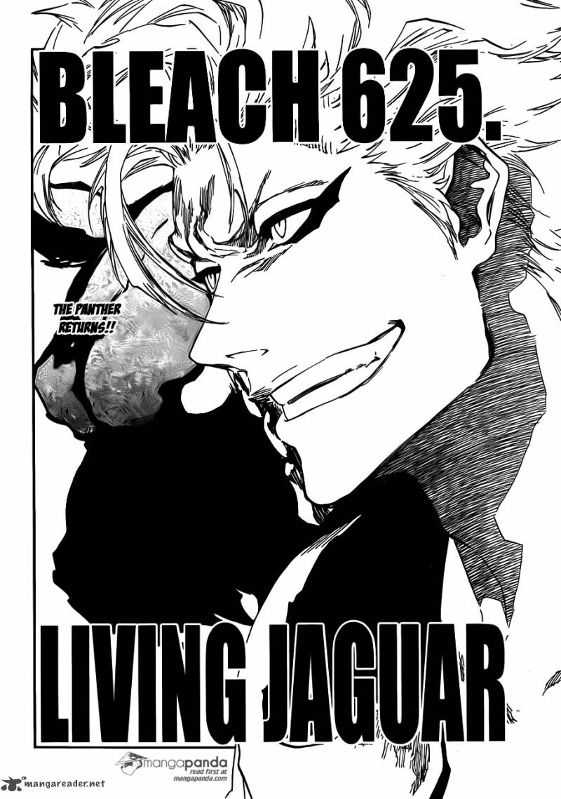 Bleach 625 2