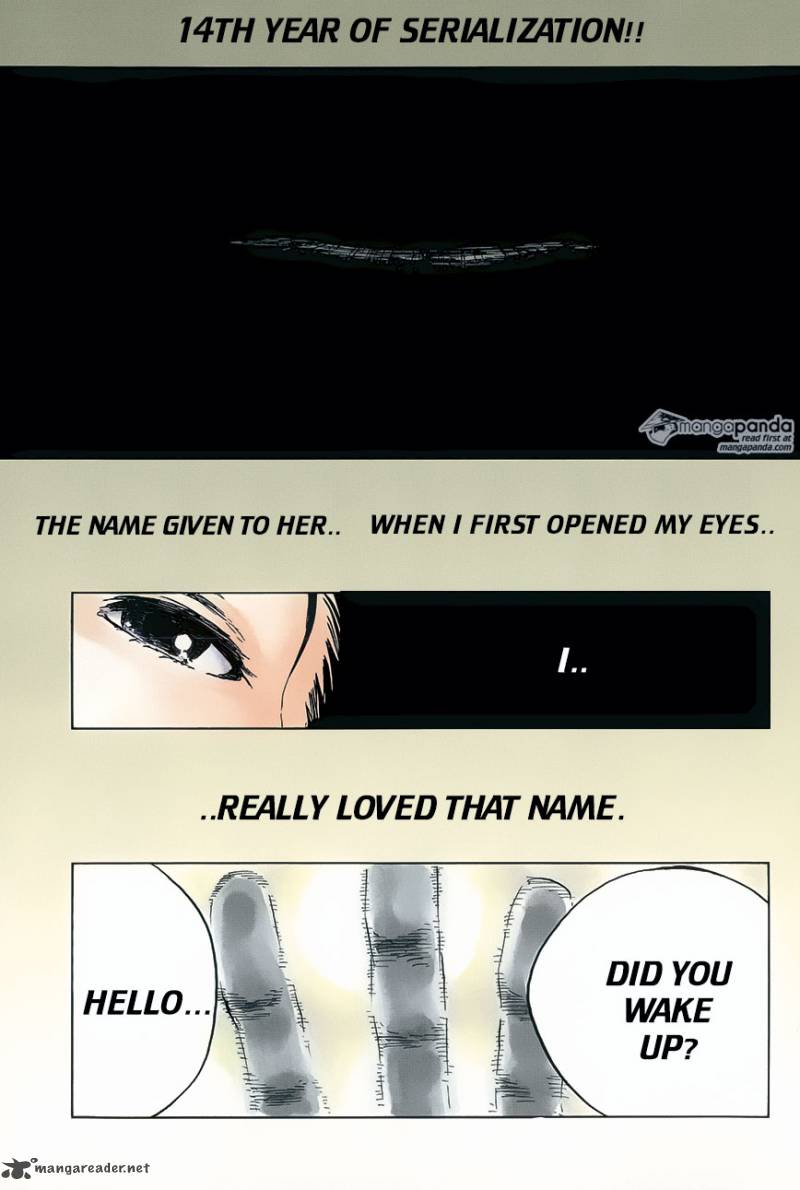 Bleach 640 2