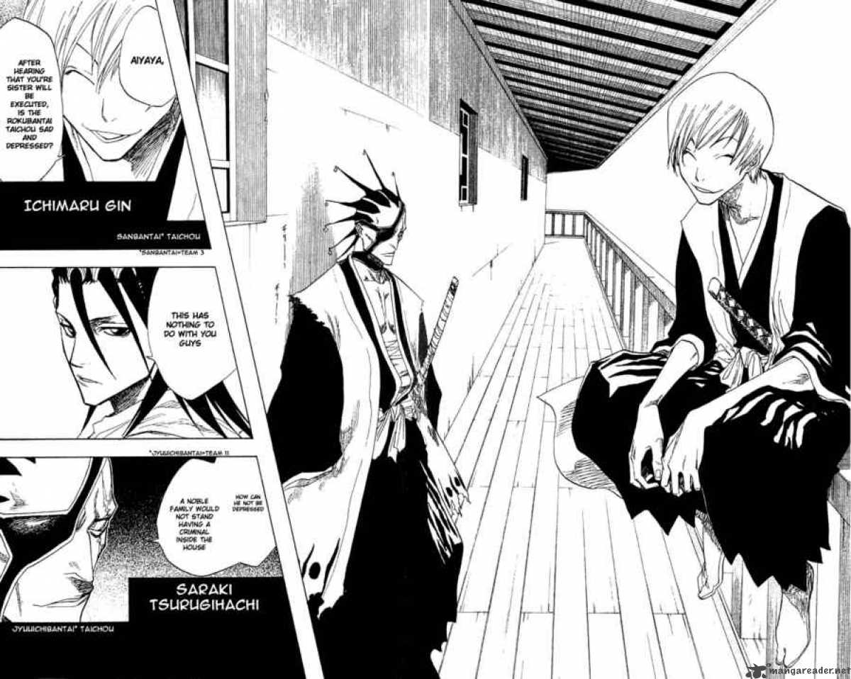Bleach 65 10