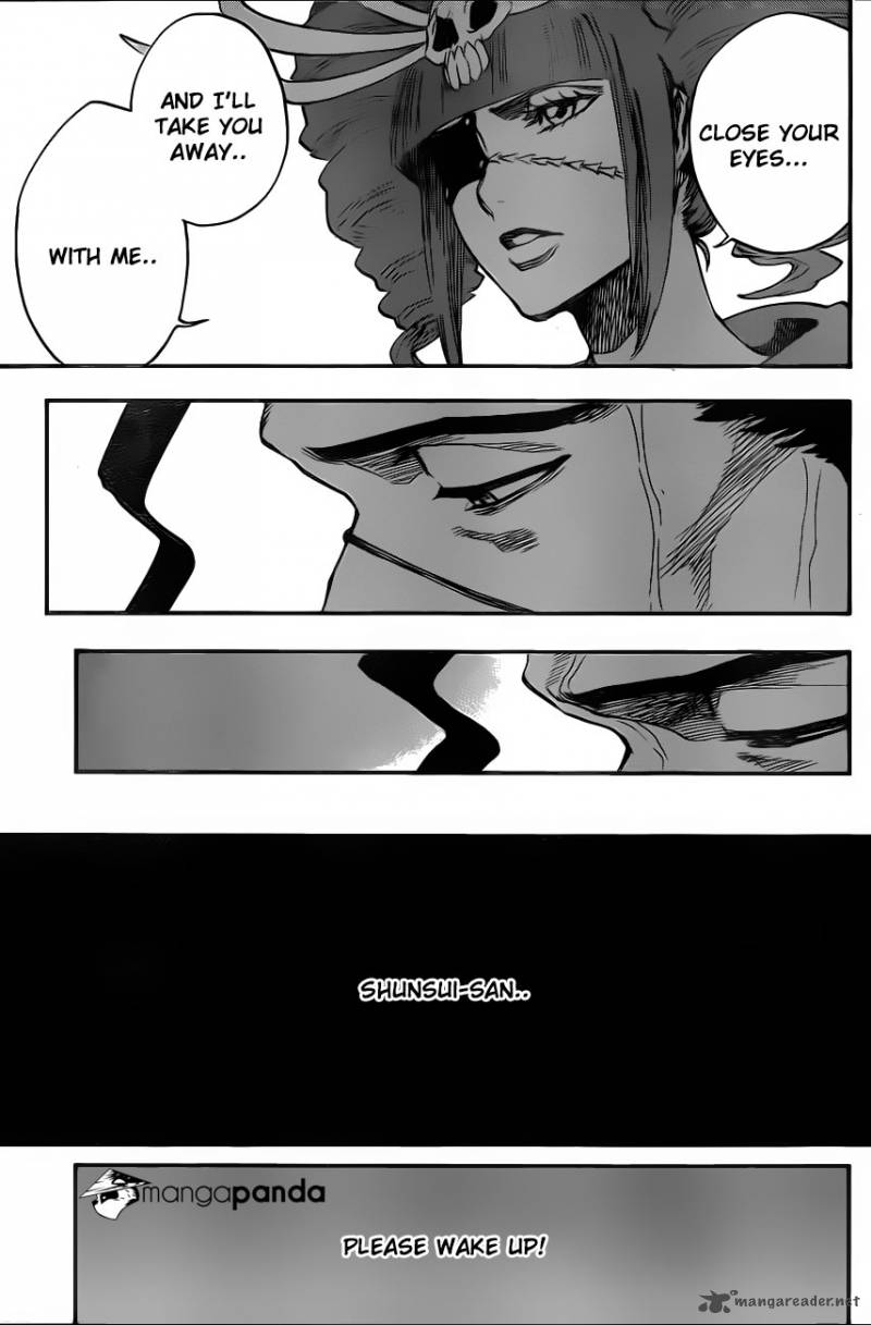 Bleach 650 11