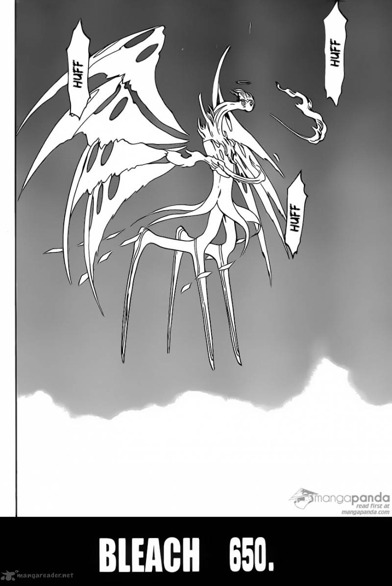 Bleach 650 2
