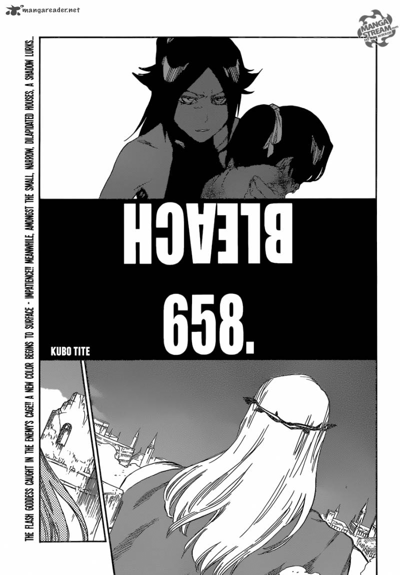 Bleach 658 9