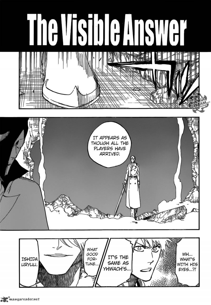 Bleach 660 5