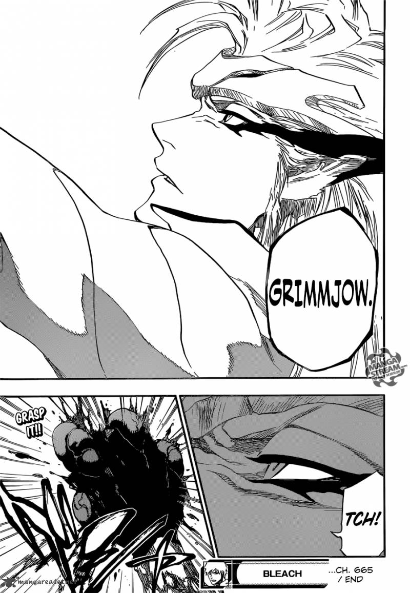 Bleach 665 18