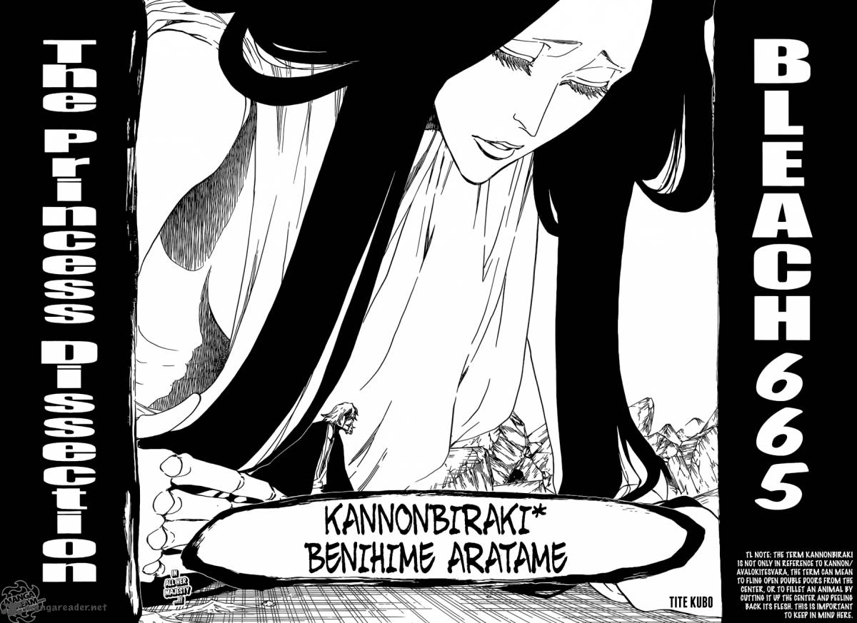 Bleach 665 4